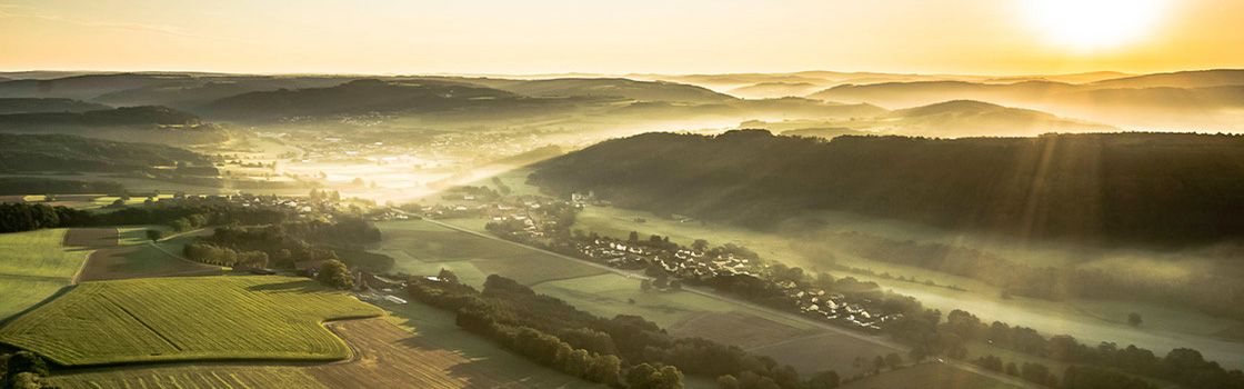 Doerfles Friesen Steiberg